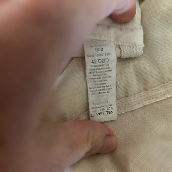 Elegant Cream Lace Bra - Picture 4 of 4